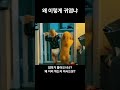 아빠를 기다리는 아기와 댕댕이