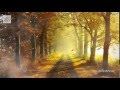 А Грибоедов Вальсы Aleksander Griboyedov 2 Waltzes 