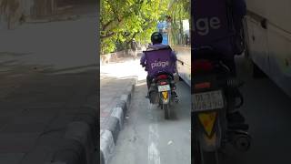 Z800 Pidge Dilvery Boy Funny Reaction