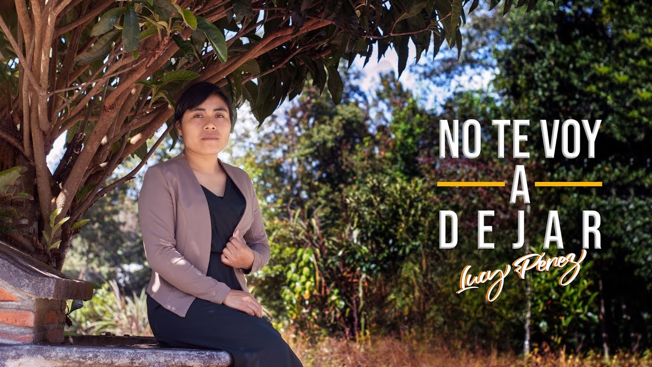 Cover NO TE VOY A DEJAR / Lucy Pérez