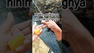 Makin asik juga nih mancingnya