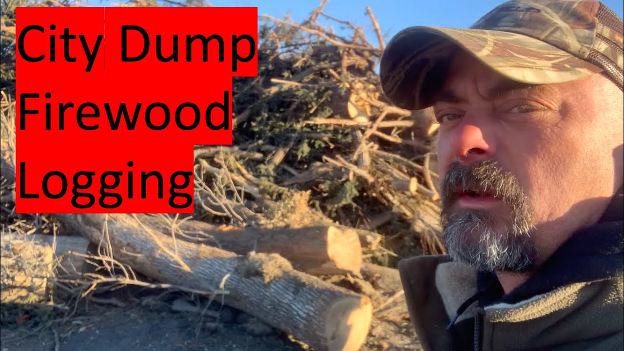 21 City Dump Firewood Logging YouTube