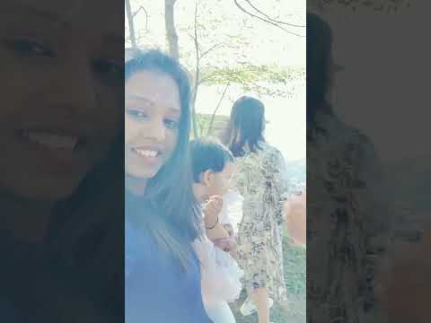 Beautiful Saldus Latvia Travel Swan Friends Outing Birthdaycelebration Boat Summervibes