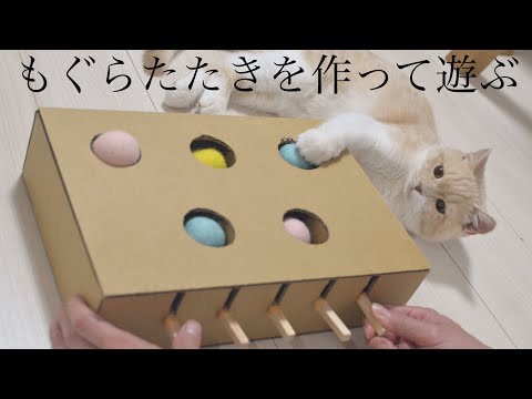 Diy 手作りのもぐらたたきで子猫と遊んでみました Nipponxanh