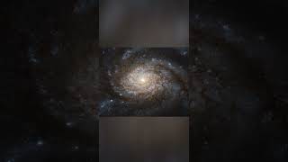 A Starry Whirlpool In Leo The Elegant Swirl Of Ngc 3810