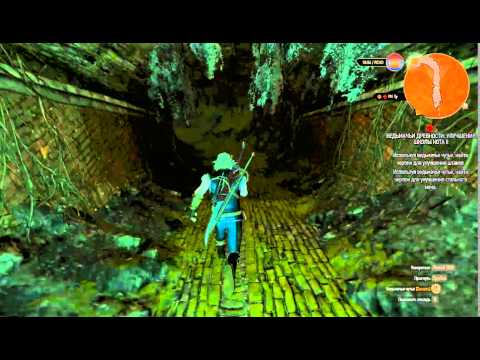 Witcher 3, Улучшенные штаны школы Кота