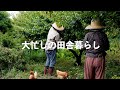 自給暮らしvlog|やることが盛りだくさんの田舎暮らし|ニンニクは収穫時期が大事!|#70