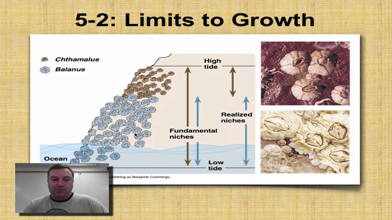 Chapter 5 Part 3 - Density-Dependent Limiting Factors - YouTube