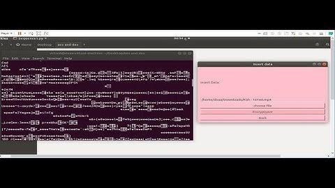 Adjustment of law resolution image using ImageJ software