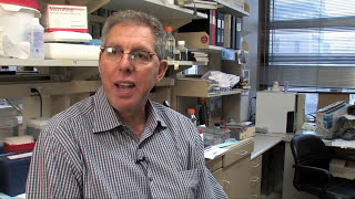 Jeffrey Friedman discusses research on leptin and obesity