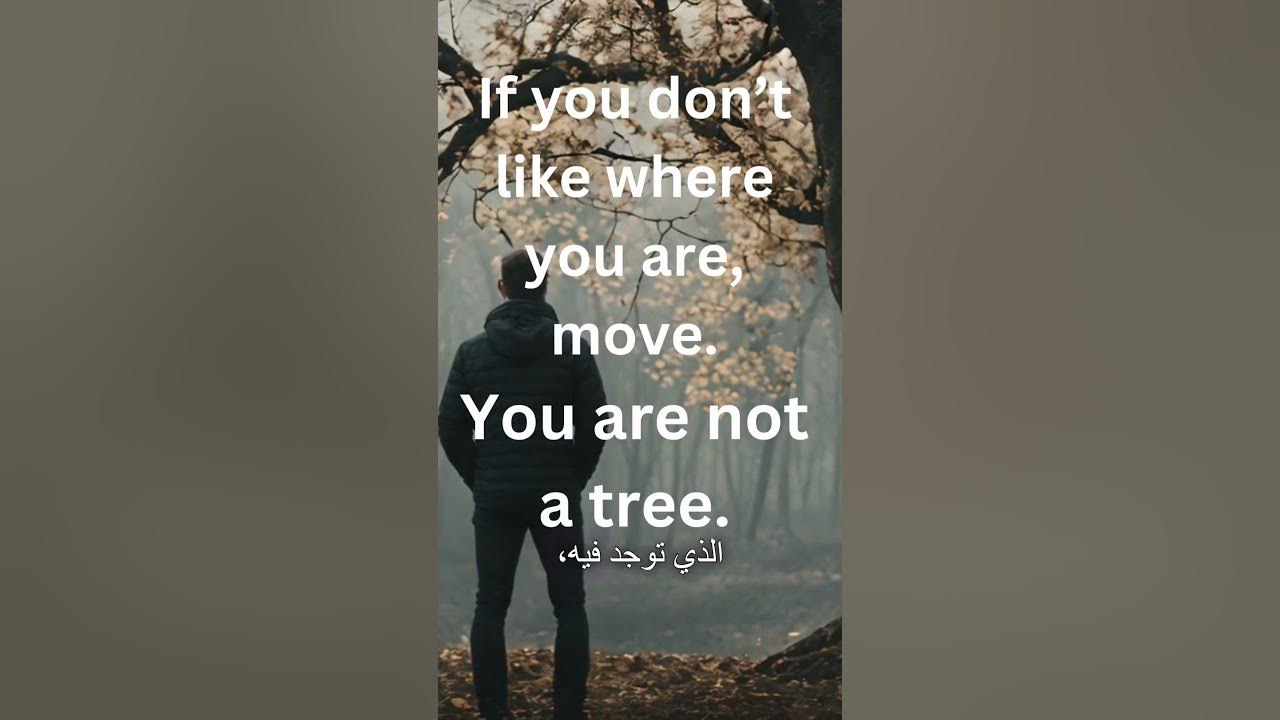 Move , you are not a tree - YouTube