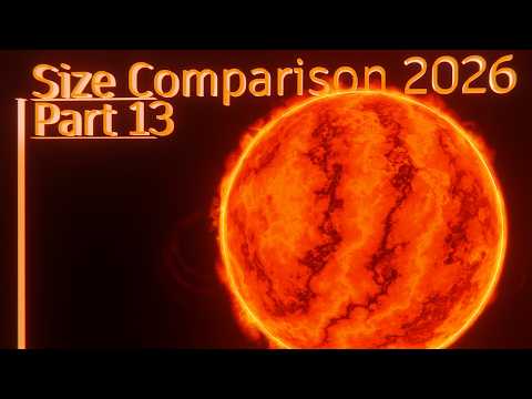 Size Comparison 2026 (Part 13) 4K 60FPS 3D