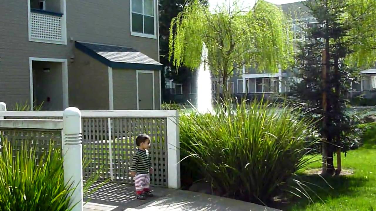 Willow Lake San Jose YouTube