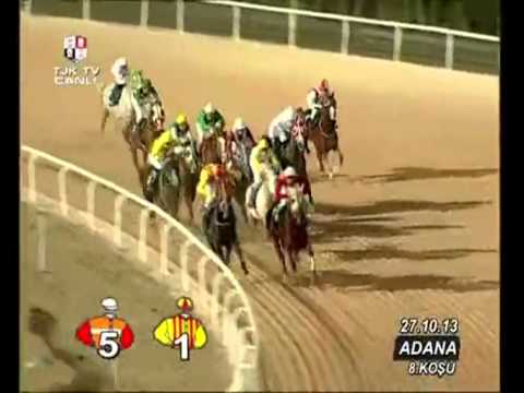 Adana Hipodromu (42. Yarış Günü) 8. Koşusu - YouTube