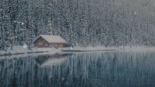 Danbi - In My Dreams | Soft Night Piano screenshot 5