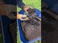 How To Level your Lawn