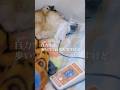 病気になってしまった犬のための施設
