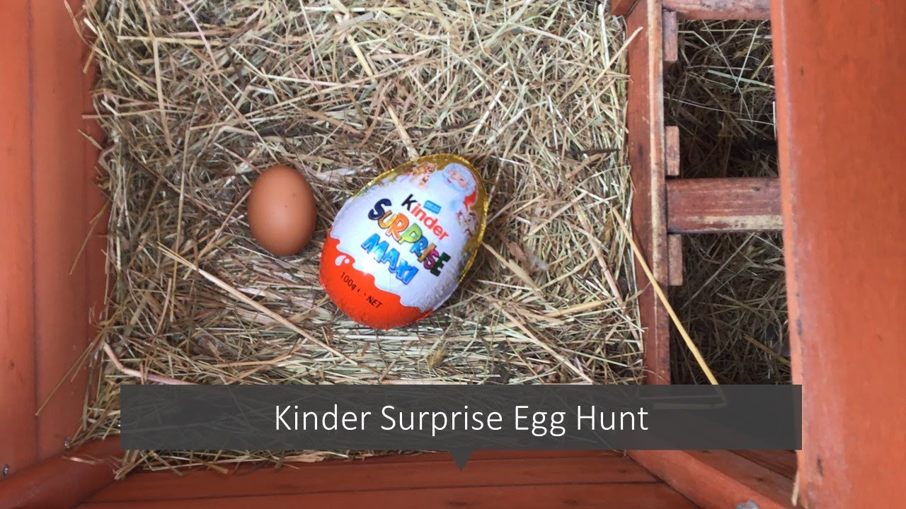 Kinder Surprise Egg Hunt Challenge - PART 1 - X Marks the Egg