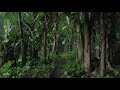 Rain & Thunder in Jungle Tropical | Help with Sleep, Relaxation, PTSD, Insomnia