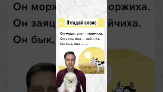 Отгадай слово #валера #shorts #funny