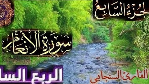 القرآن الكريم 🌹ختمة الأرباع ||الجزء السابع، الربع السابع _سورة الأنعام 🐦السنجابى