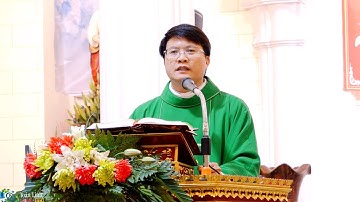 Bài Giảng Cha Giáo Giuse Vũ Văn Hiếu Ngày Kinh Ngai Tòa Thánh Phêrô 22/02/2025