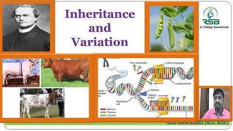 Inheritance and Variation | Part 7 | always4amol
