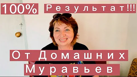 !Личный Опыт 100% Результат!!!КАК ВЫВЕСТИ ДОМАШНИХ МУРАВЬЕВ Проверенный способ