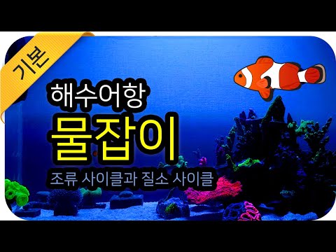 조명 추천