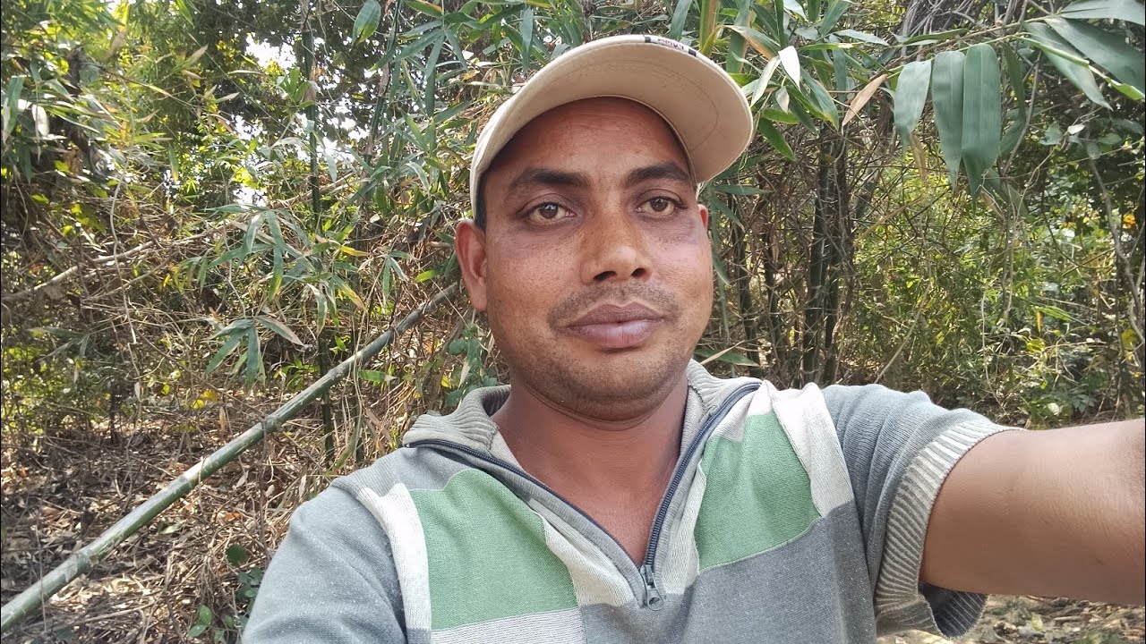 हेलो दोस्तों माय लाइव आ चुका हूं बाग में बांस काटने आए हैं #live