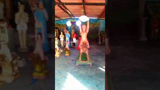 Sorte - Corte llanera