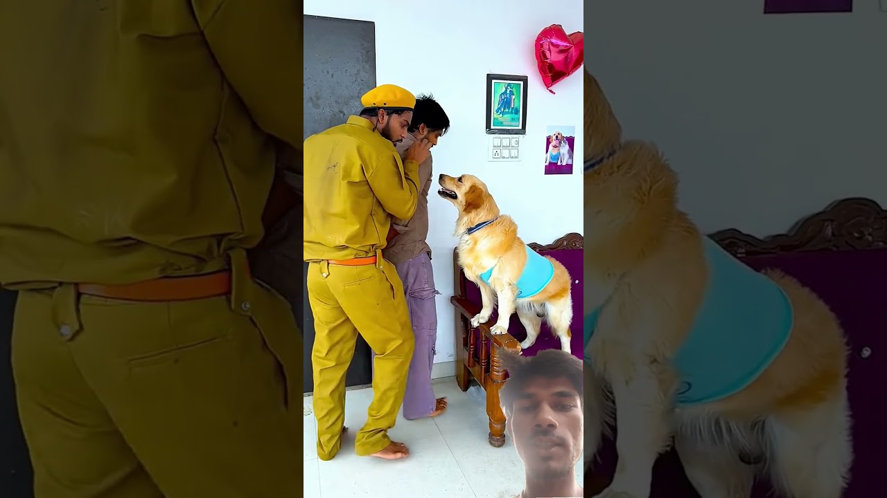 कितना प्यार करता है मेरा डॉगी मेरे से😱 #funnydogs #shorts