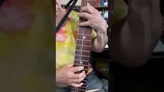 While my guitar gently weeps Beatles Cover amp improvisation Ron Baggerman Stick July 11 2022