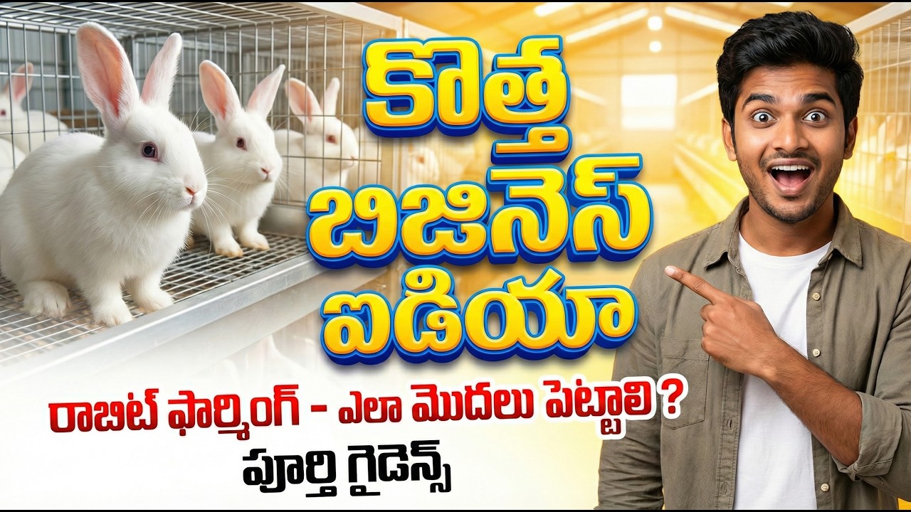 కొత్త బిజినెస్ ఐడియా – రాబిట్ ఫార్మింగ్ బిజినెస్ | How To Start Rabbit ...