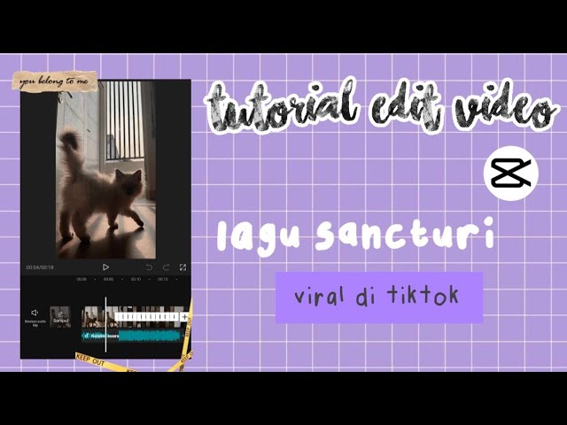 Tutorial Edit Video Lagu Sanctuary Viral Tiktok || CAPCUT - Siti Rahma Fitri Yani class=