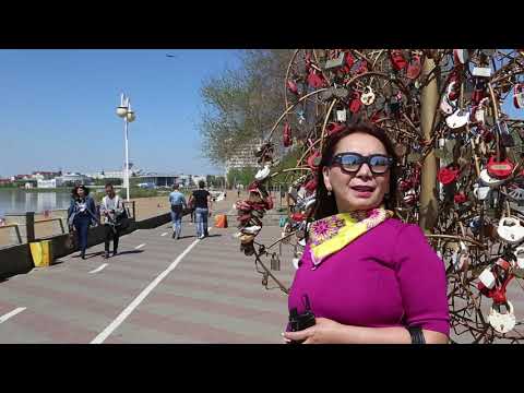 Видео: Голланд шинж чанартай босоо хот