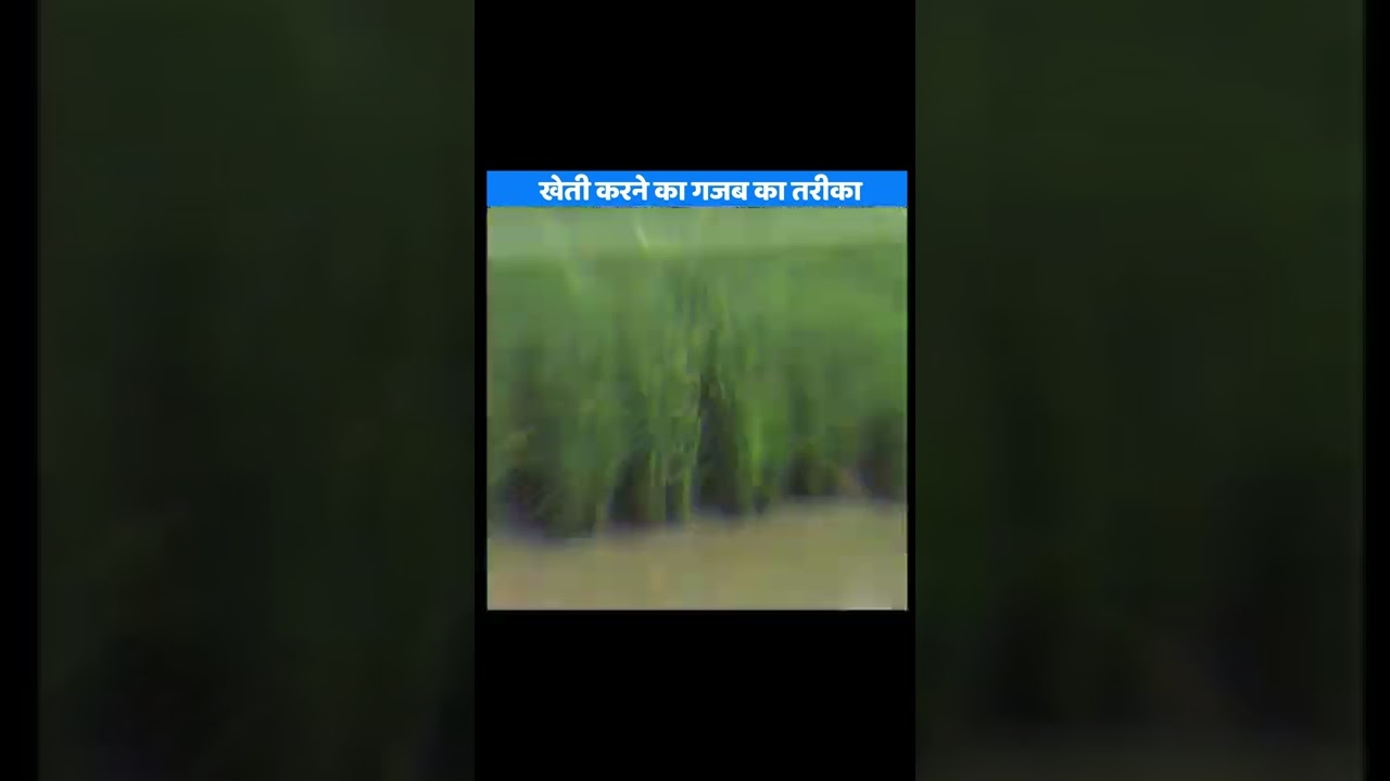 😱 खेती करने का गजब का तरीका | Fish Farming | 😳 #Shorts #fishing #viral