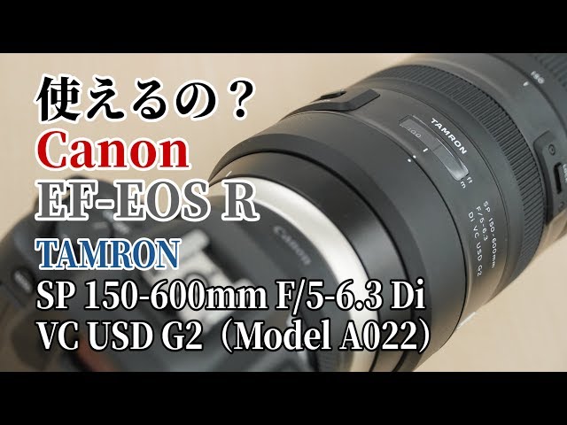 【使えるの？】キヤノン マウントアダプター EF-EOS Rでタムロン