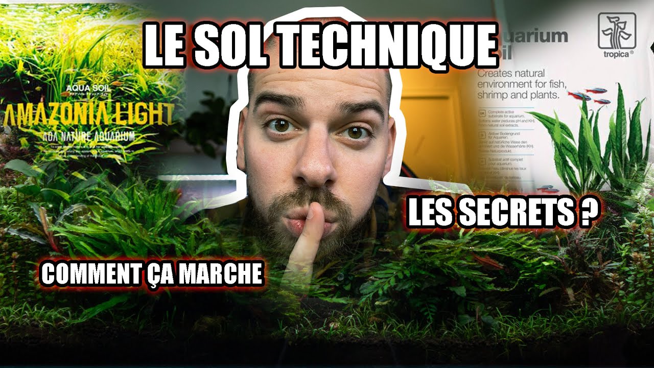 LES SECRETS DU SOL TECHNIQUE EN AQUARIUM ?
