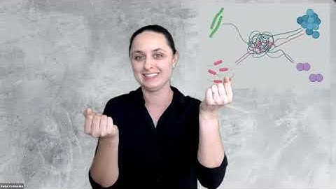 2020 Berkeley Lab Research SLAM: Dariia Vyshenka