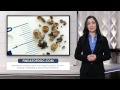 Treating kidney stones