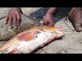 Best Hook Fishing Video  | Traditional Boy Catching Big fish With Plastic Box in River