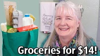 Groceries for $14  Living On Social Security