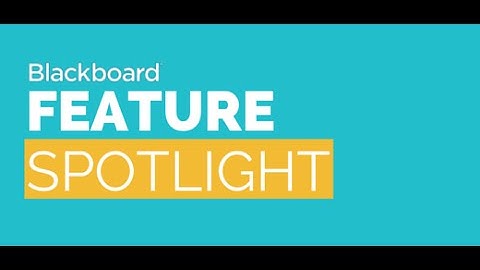 Instant Tutorial: Accessing the Blackboard Test Access Log