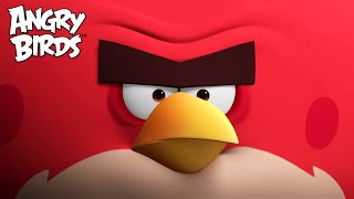 Angry Birds Every Time Terence Speaks