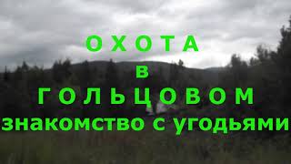 Охота в гольцовом  знакомство с угодьями новых участников команды