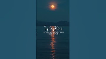 هو الذي أنزل السكينة في قلوب المؤمنين ♥️🌟 #سورة_الفتح #السكينة #قران_كريم #ترتيل #تجويد