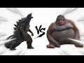 Godzilla vs monke