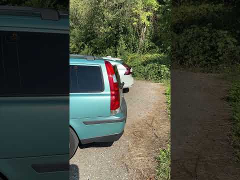 VOLVO zeigt uns,