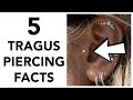 5 Facts About Tragus Piercings!!